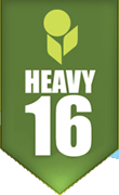 Heavy 16 Logo